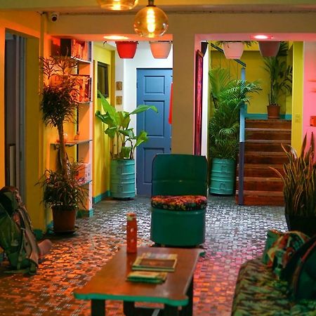 Nativus Art-Hostel San José Zewnętrze zdjęcie