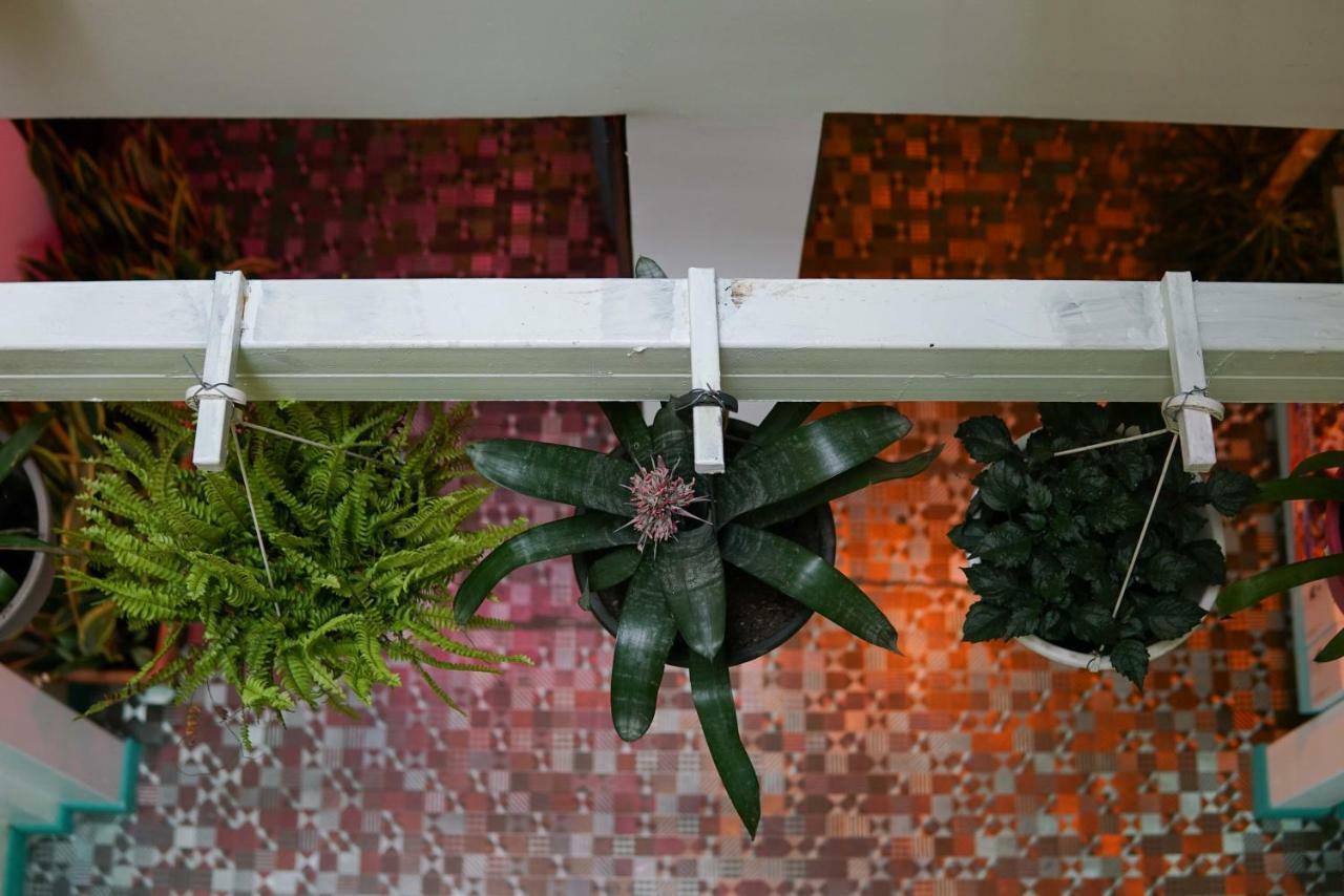 Nativus Art-Hostel San José Zewnętrze zdjęcie