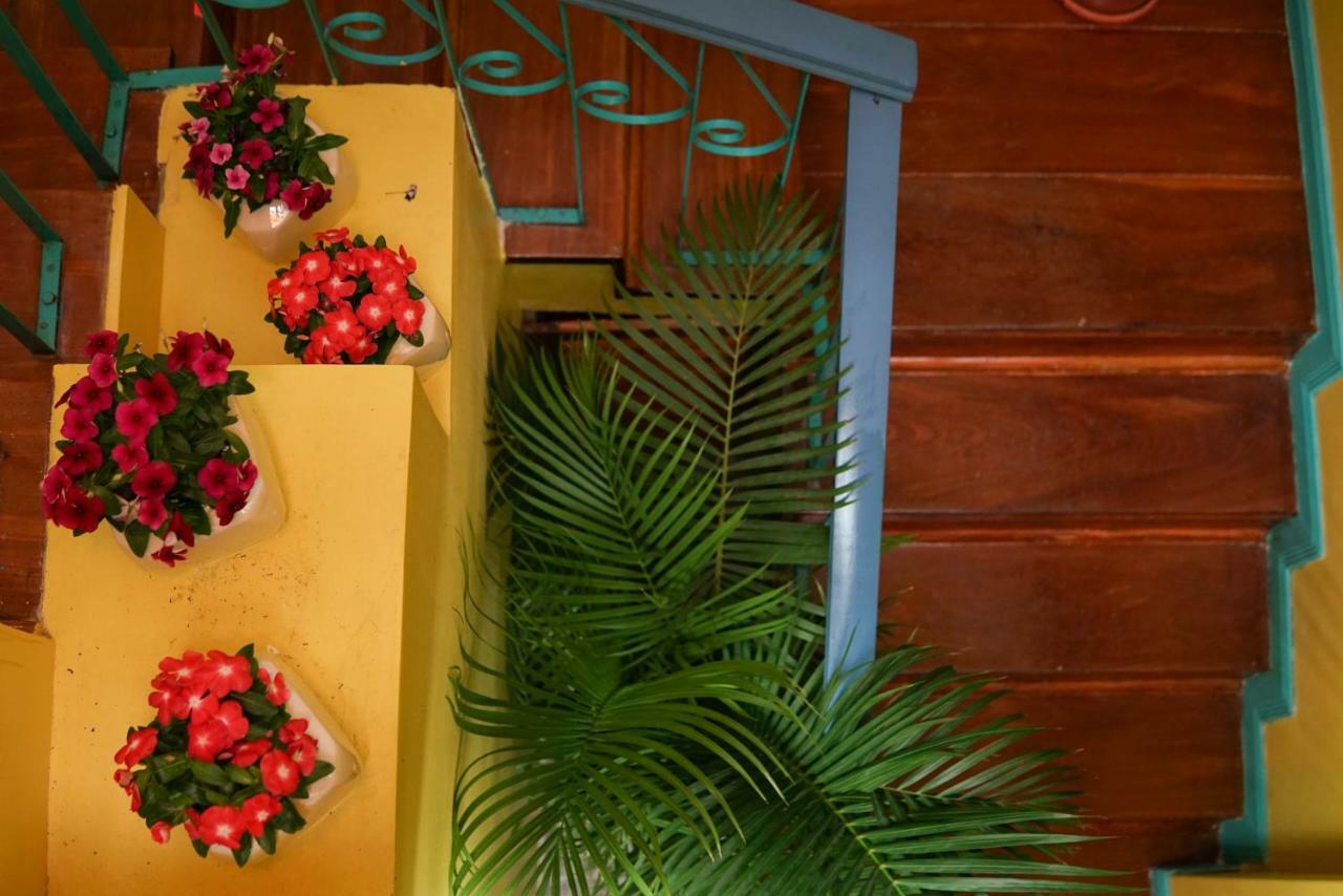 Nativus Art-Hostel San José Zewnętrze zdjęcie