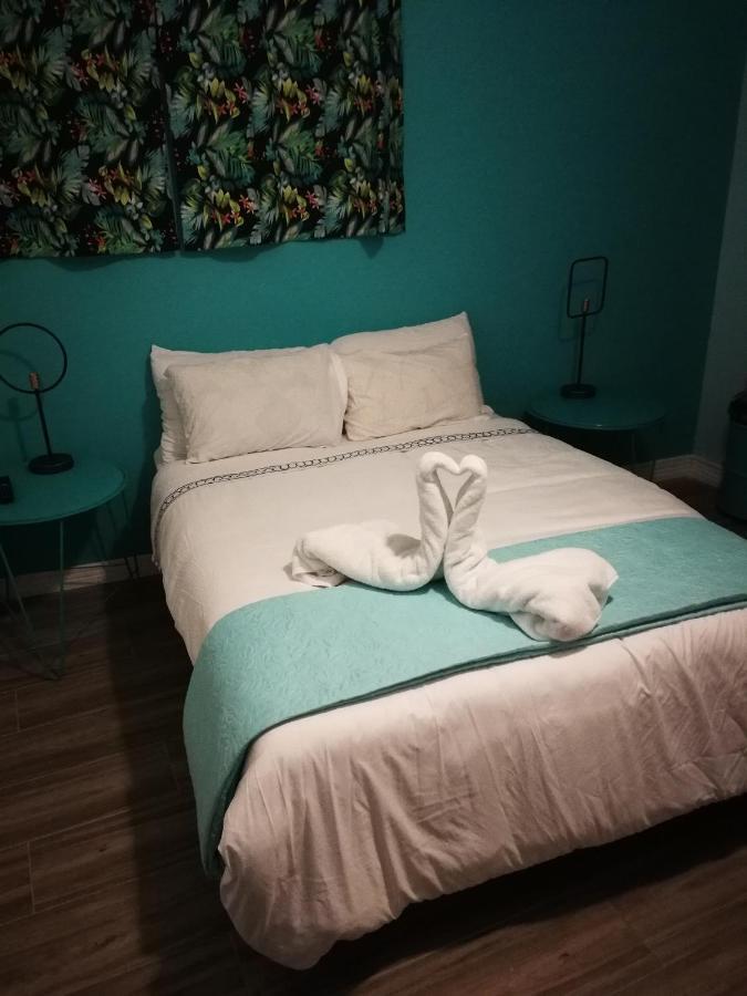 Nativus Art-Hostel San José Zewnętrze zdjęcie