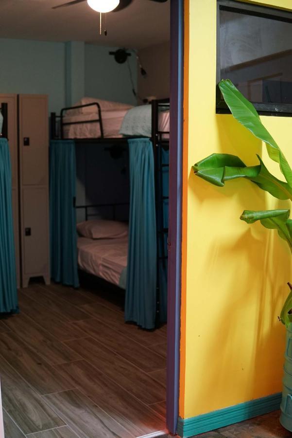 Nativus Art-Hostel San José Zewnętrze zdjęcie