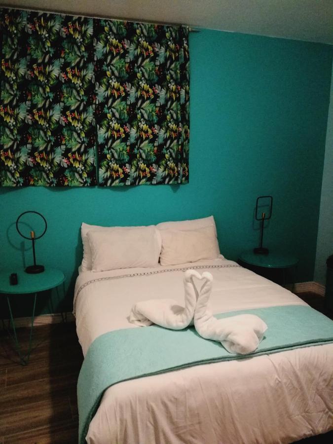 Nativus Art-Hostel San José Zewnętrze zdjęcie