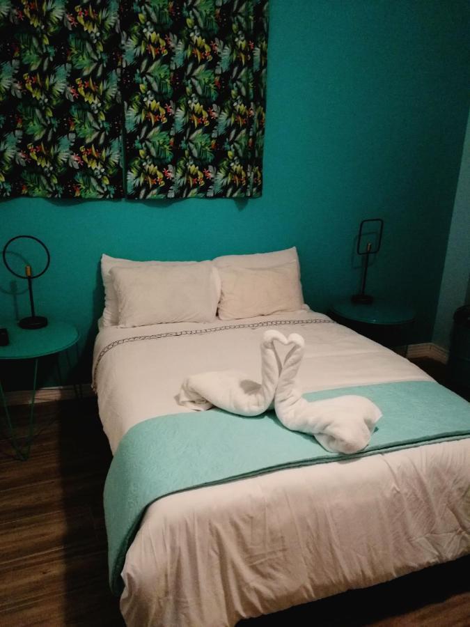 Nativus Art-Hostel San José Zewnętrze zdjęcie